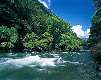 Steam最新一周销量榜 《绝地潜兵2》连续六周登顶